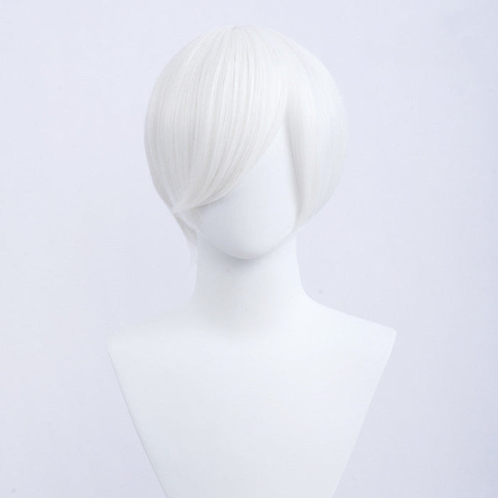 sacadranca parrucca generica 30 cm bob