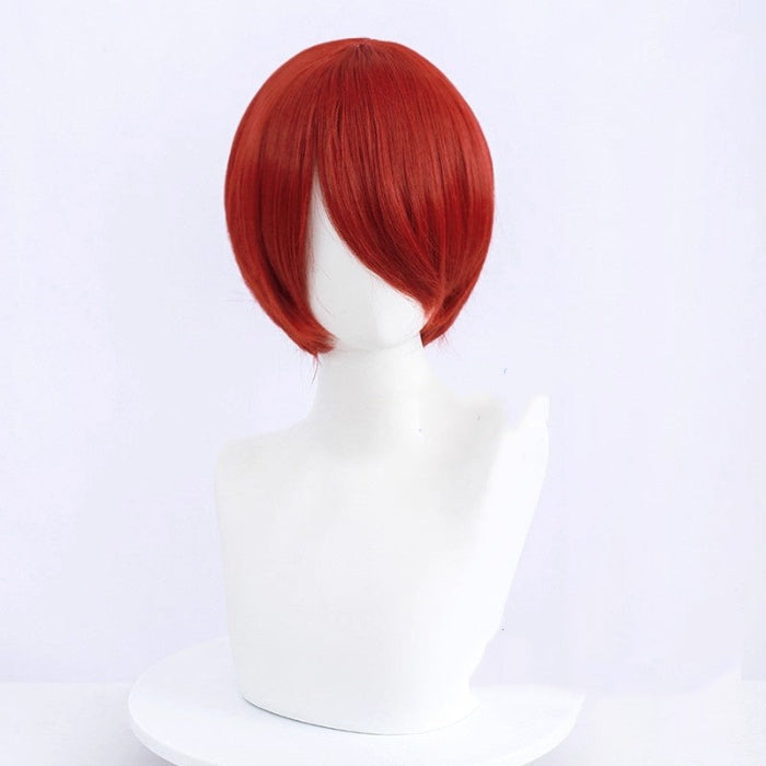 sacadranca parrucca generica 30 cm bob 