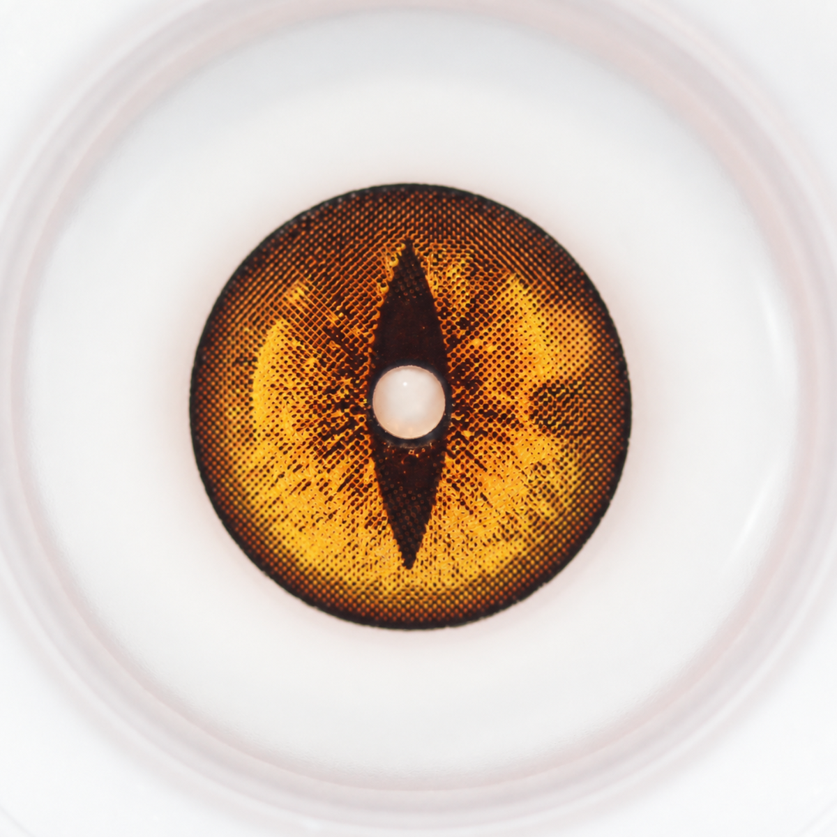lenti cosplay crazy lens sacadranca urban layer golden dragon eye