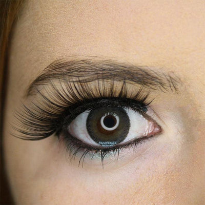 Lenti Colorate Naturali Egypt Gray – Copertina